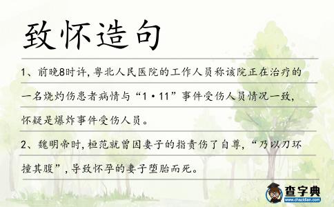 致懷造句