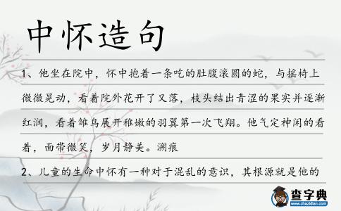 中懷造句