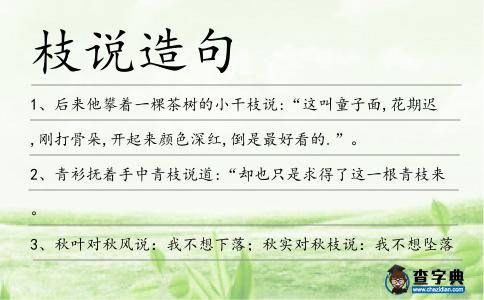 枝說造句