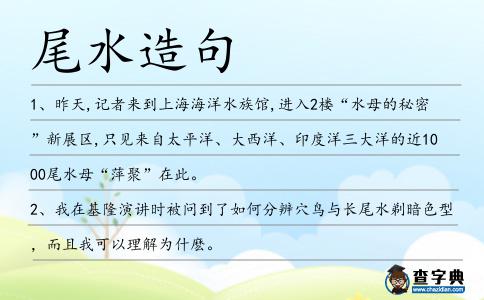 尾水造句