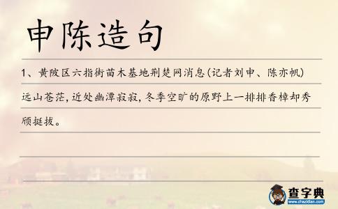 申陳造句