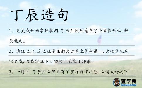 丁辰造句