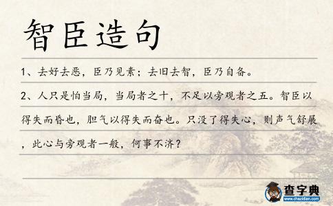 智臣造句
