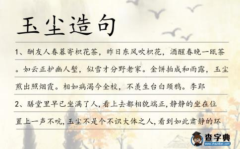 玉塵造句