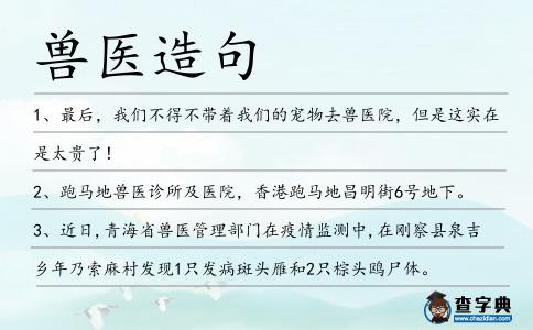 獸醫(yī)造句