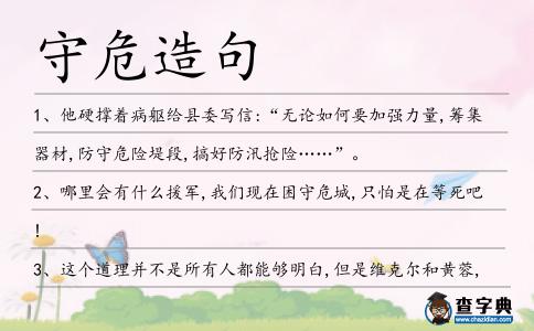 守危造句