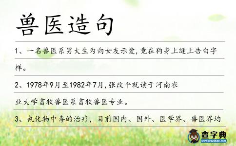 獸醫造句