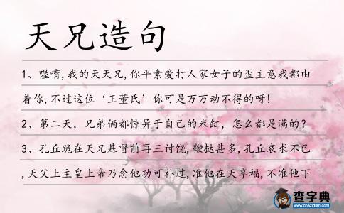 天兄造句