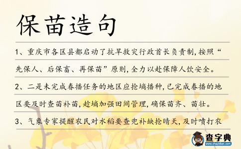 保苗造句