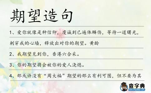 期望造句