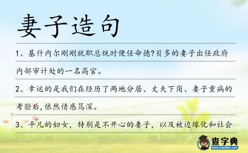 妻子造句