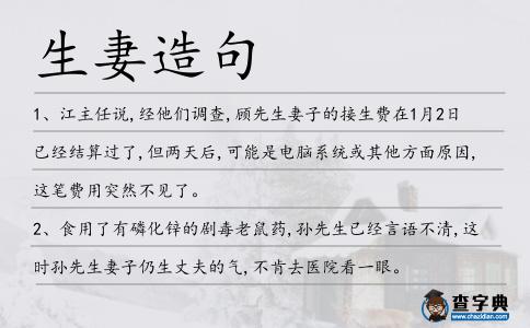 生妻造句