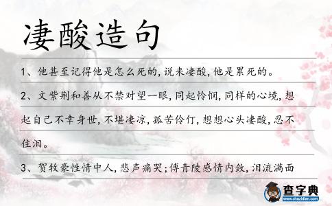 凄酸造句