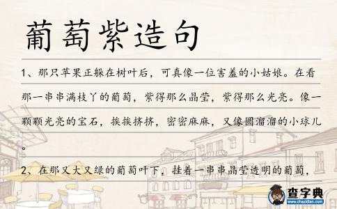 葡萄紫造句