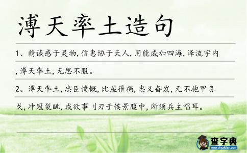溥天率土造句