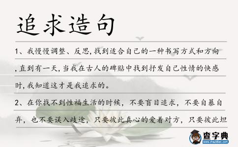 追求造句