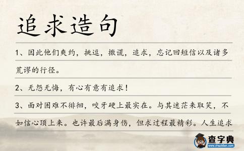 追求造句