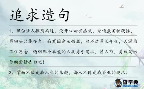追求造句