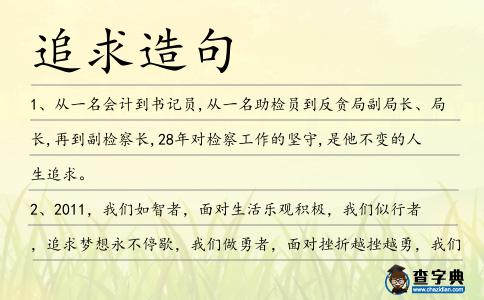 追求造句