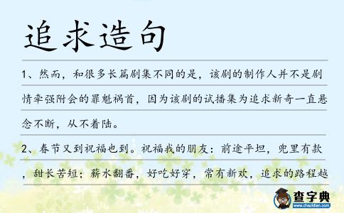 追求造句