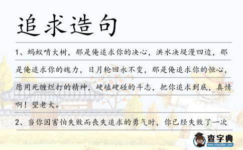 追求造句