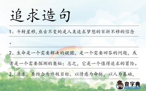 追求造句