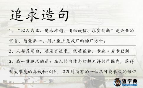 追求造句