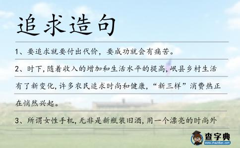 追求造句