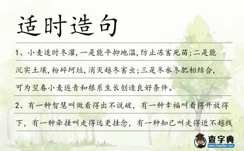 適時造句