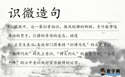 識微造句