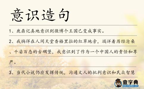 意識(shí)造句