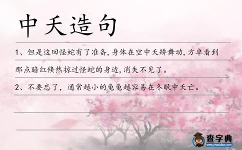 中夭造句