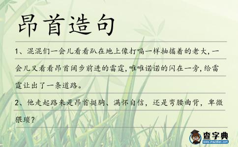 昂首造句