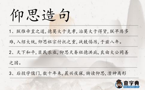 仰思造句