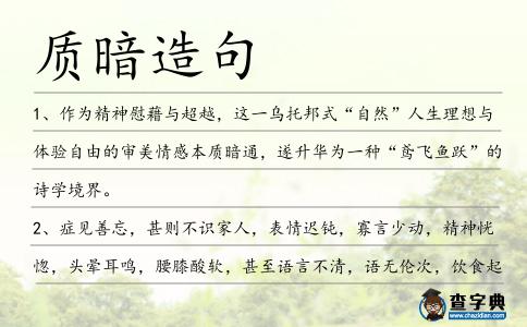 質暗造句