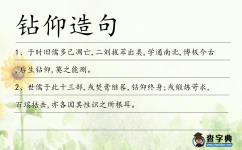 鉆仰造句