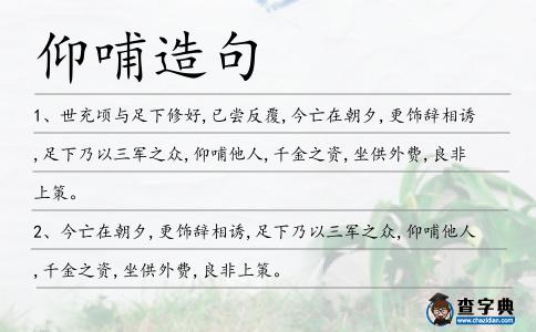 仰哺造句