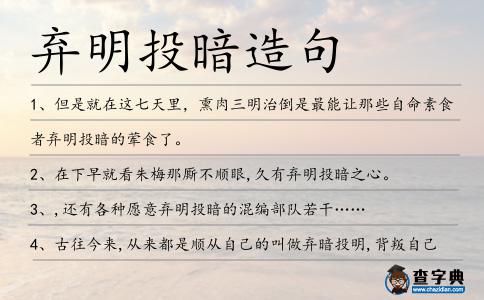 棄明投暗造句
