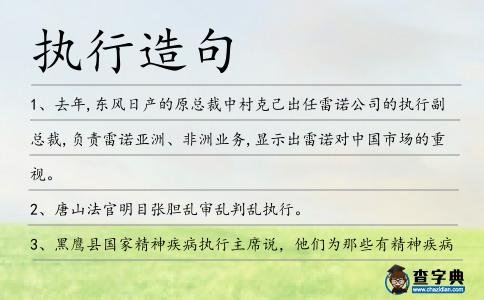 執行造句