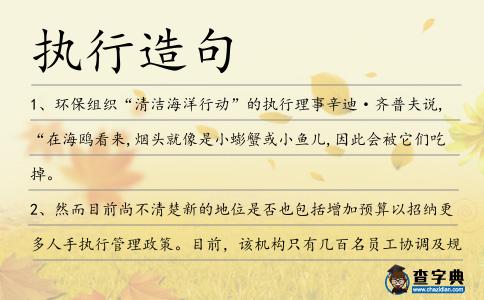 執(zhí)行造句