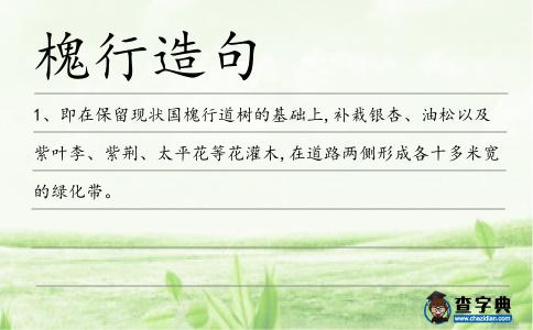 槐行造句