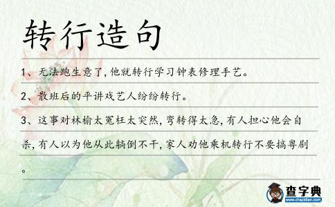 轉(zhuǎn)行造句