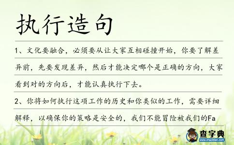 執(zhí)行造句