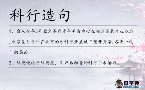 科行造句
