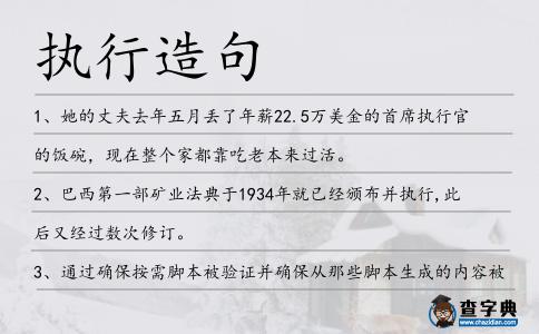 執(zhí)行造句