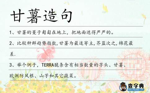 甘薯造句