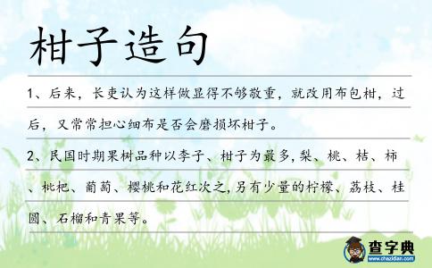 柑子造句