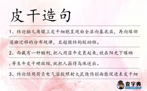 皮干造句