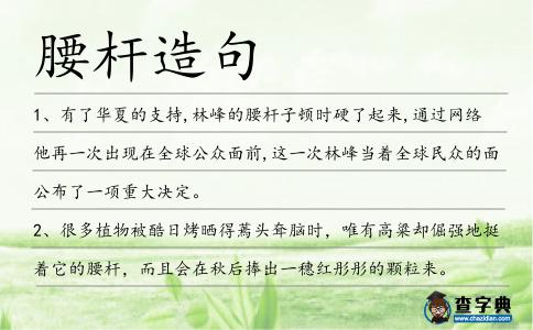 腰桿造句