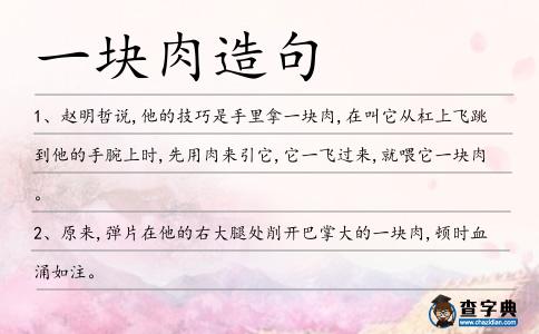一塊肉造句